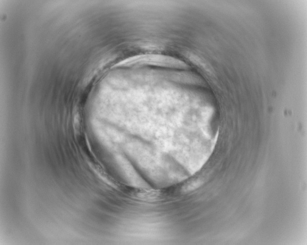 X0000088580720200706221316