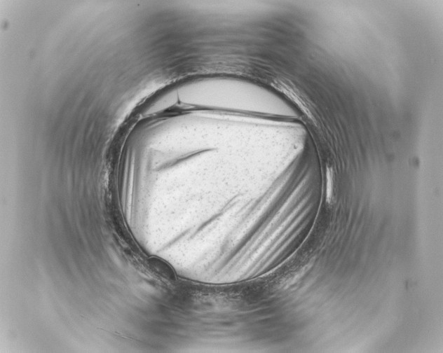 X0000088580723200706221315