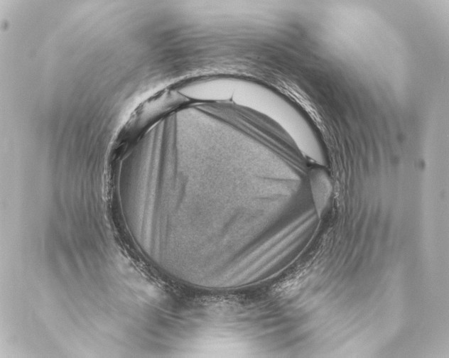 X0000088580724200706221315