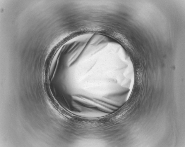 X0000088580726200706221315