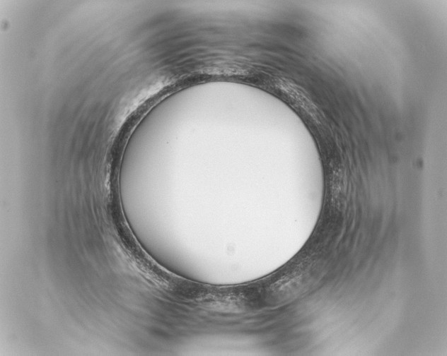 X0000088580727200706221315