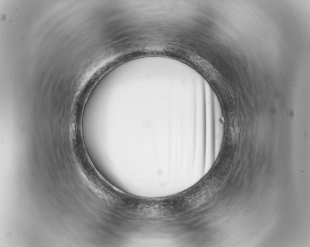 X0000088580728200706221315