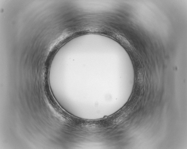 X0000088580730200706221315