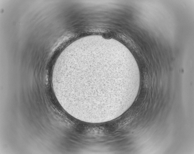 X0000088580731200706221315