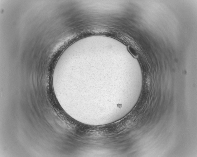 X0000088580732200706221315