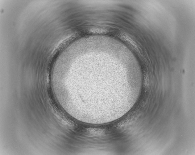 X0000088580733200706221315