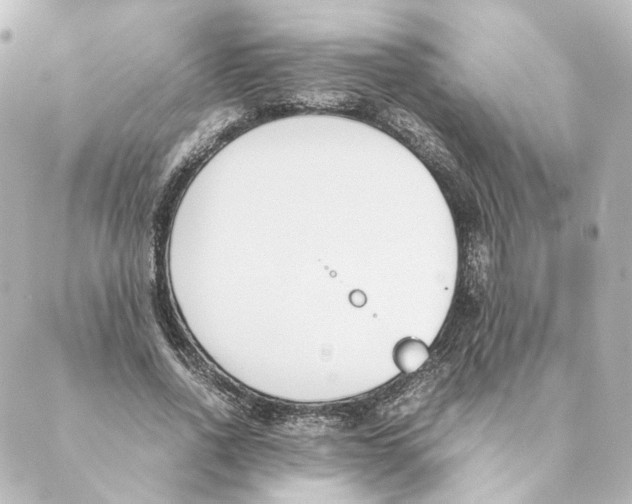 X0000088580734200706221315