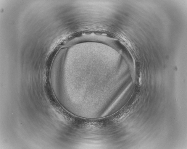 X0000088580736200706221315