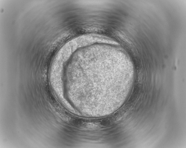 X0000088580737200706221315