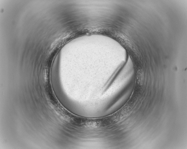 X0000088580740200706221316