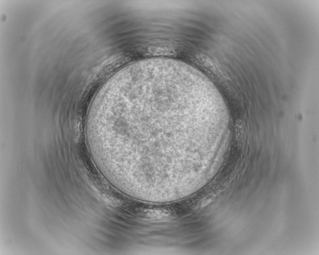 X0000088580741200706221316