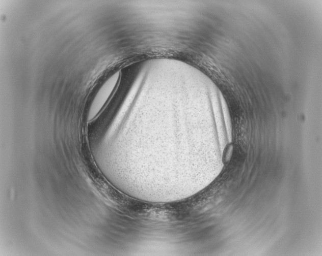 X0000088580742200706221316