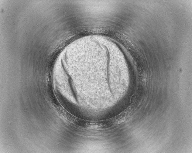 X0000088580746200706221316