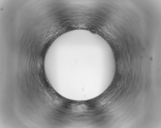 X0000088580747200706221316