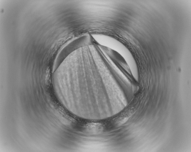 X0000088580748200706221316