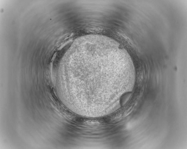 X0000088580749200706221316