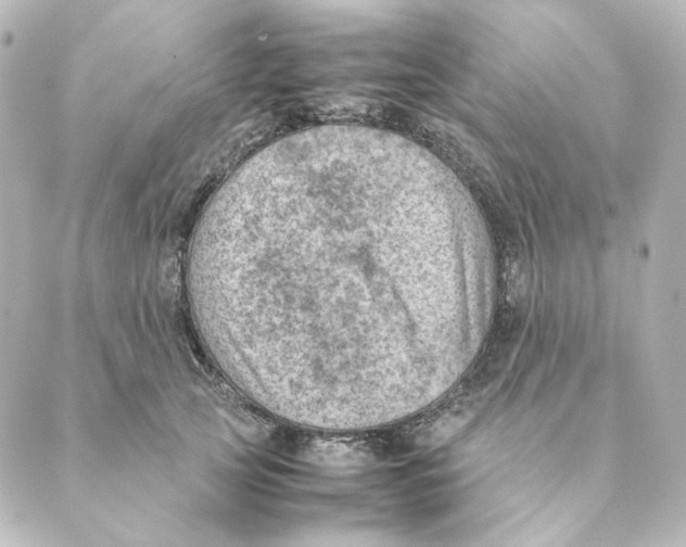 X0000088580753200706221316