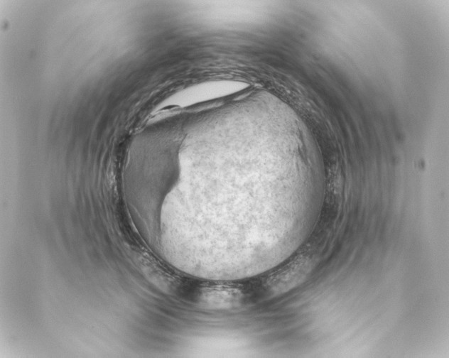 X0000088580754200706221316