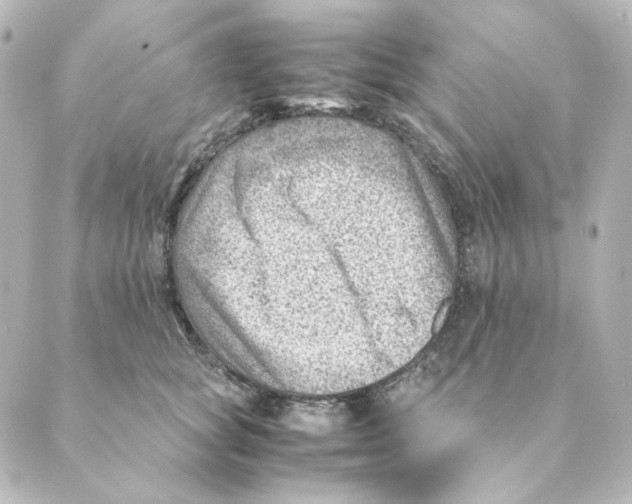 X0000088580757200706221316