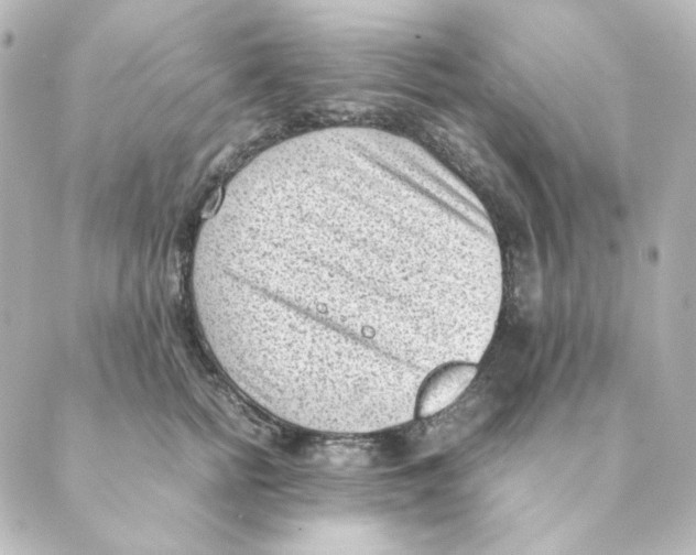 X0000088580758200706221316