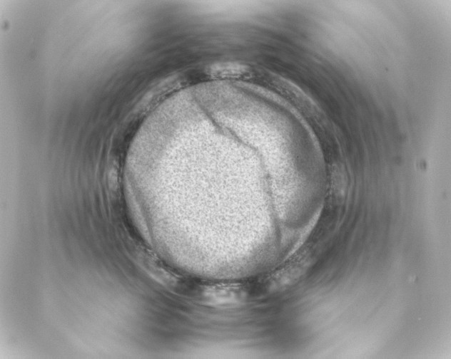 X0000088580761200706221316