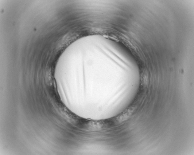 X0000088580764200706221316