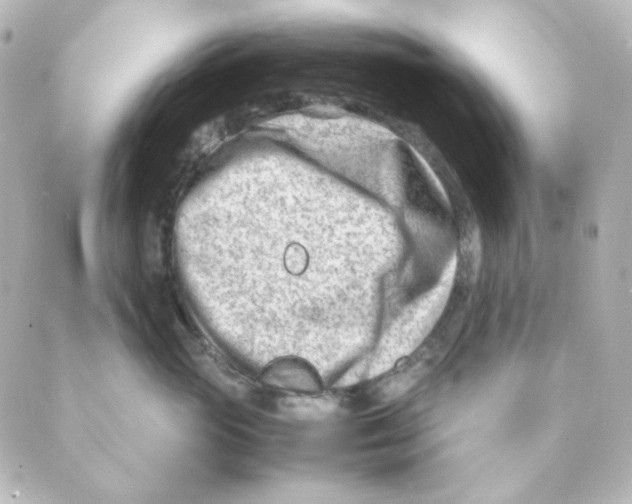 X0000088580765200706221316