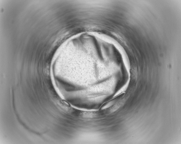 X0000088580766200706221316