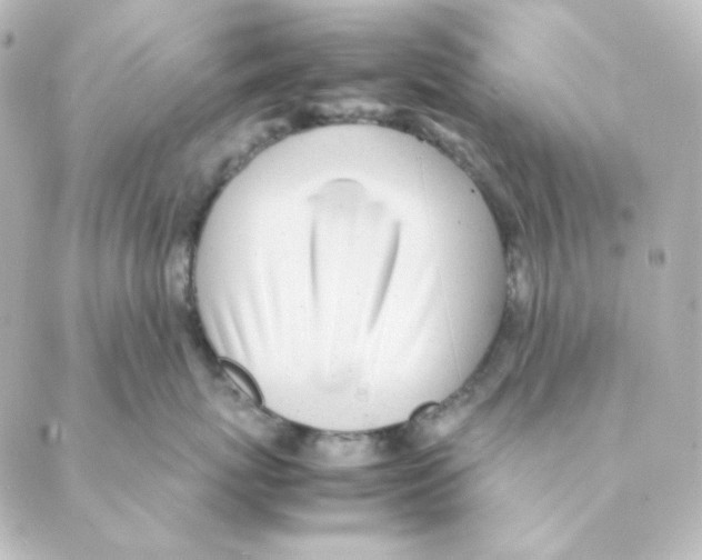 X0000088580767200706221316