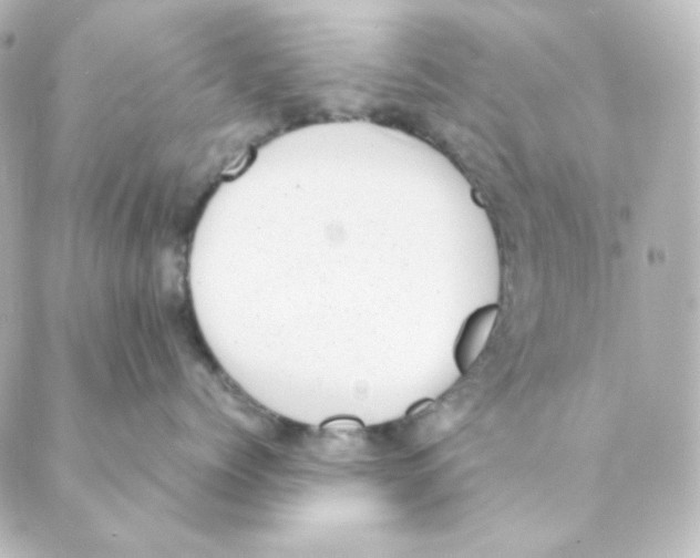 X0000088580768200706221316