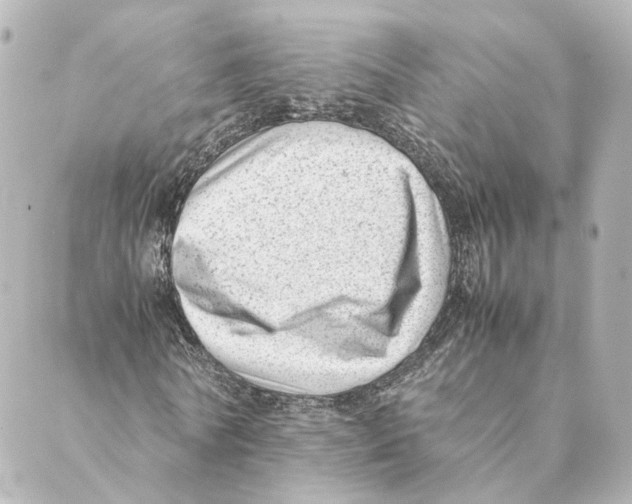 X0000088580770200706221315