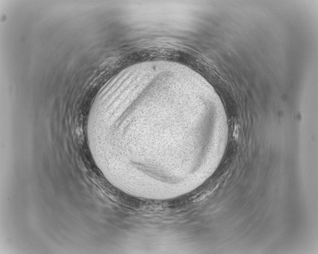 X0000088580771200706221315