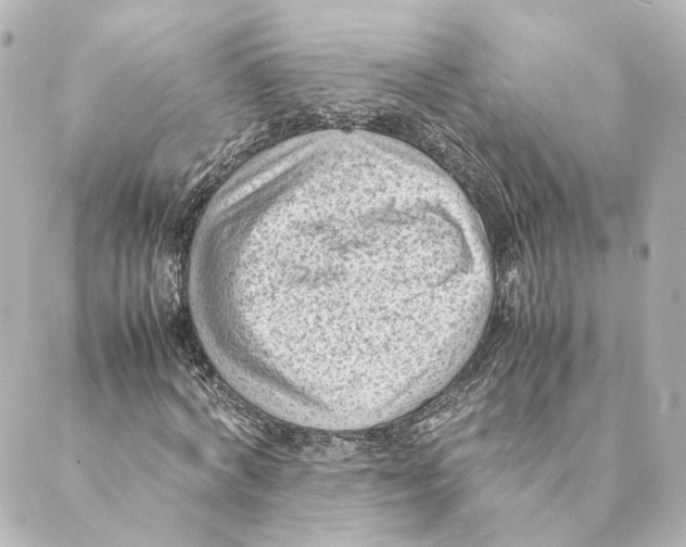 X0000088580772200706221315