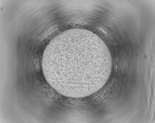 X0000088580774200706221315