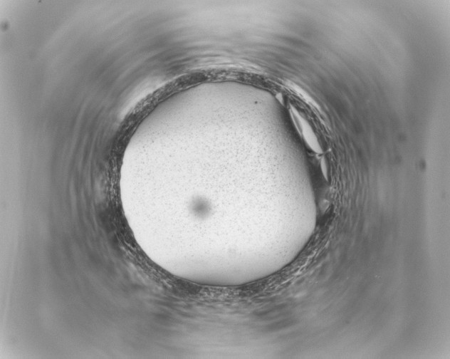 X0000088580775200706221315