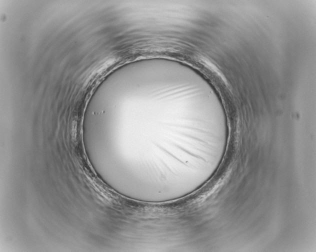 X0000088580777200706221315