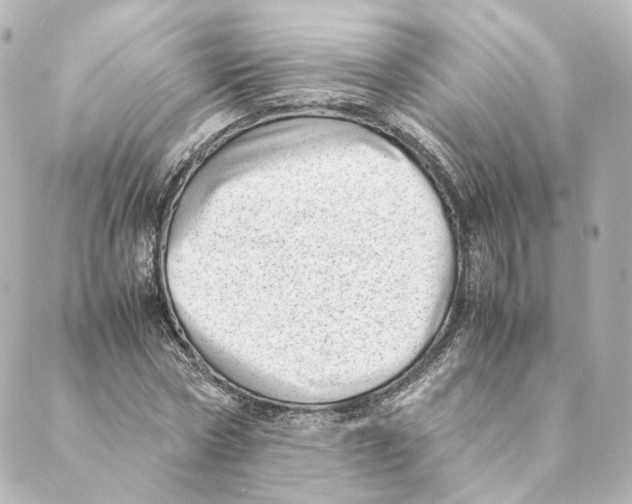 X0000088580778200706221315