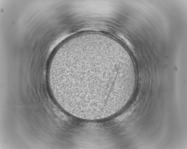 X0000088580779200706221315