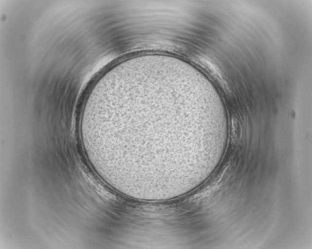 X0000088580780200706221315