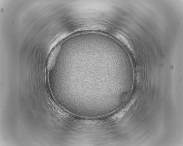 X0000088580781200706221315