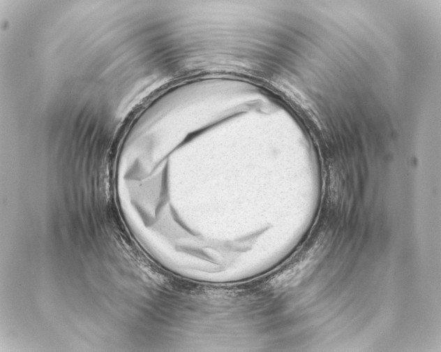 X0000088580782200706221315