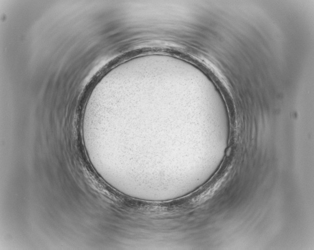 X0000088580783200706221315