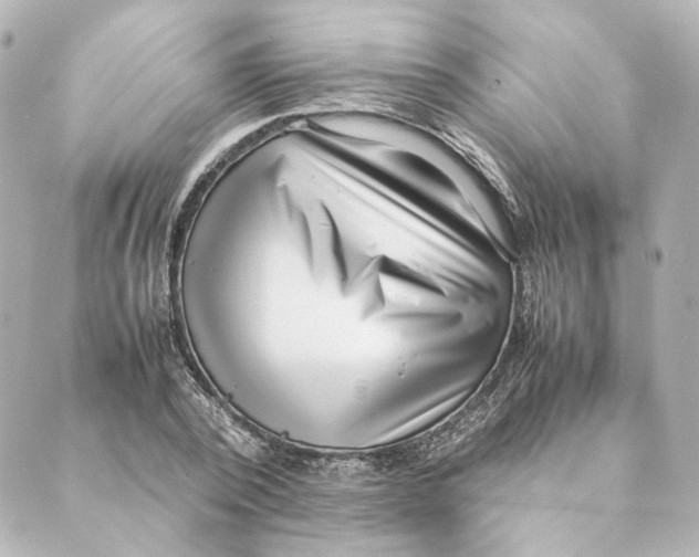 X0000088580784200706221315