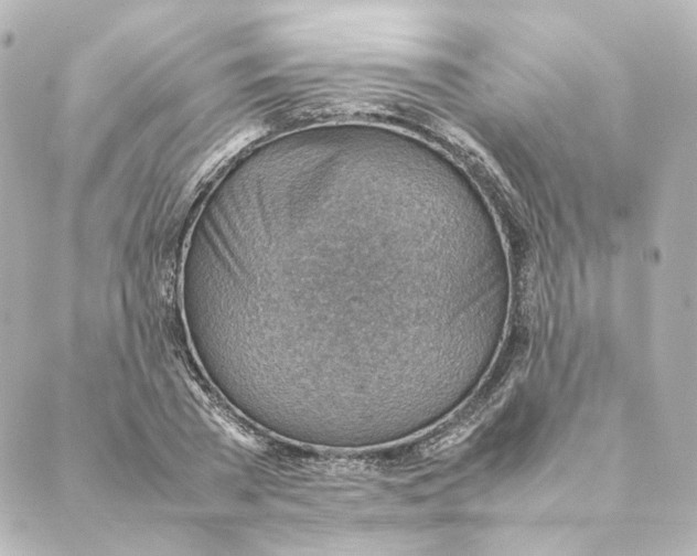 X0000088580785200706221315