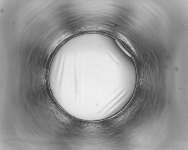 X0000088580786200706221315