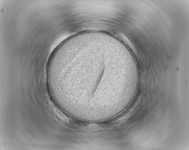 X0000088580787200706221315