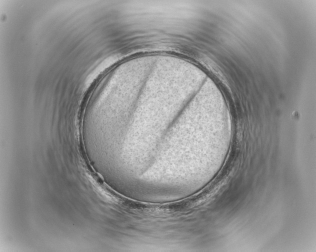 X0000088580789200706221315