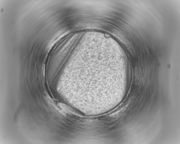 X0000088580790200706221315