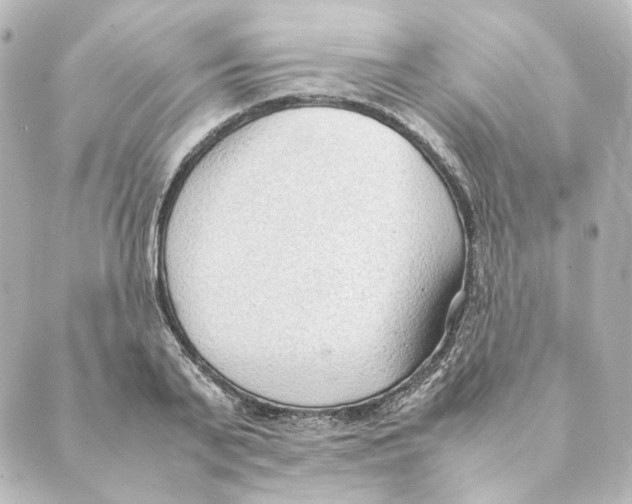 X0000088580791200706221315