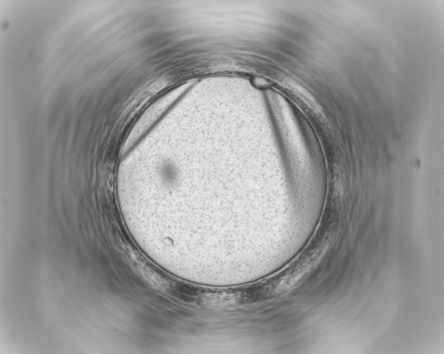 X0000088580793200706221315